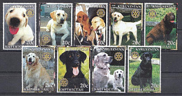 Собаки. Домашние породы собак. Киргизия 2004 год.