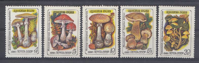 5655- 5659 СССР 1986 год. Осторожно. Ядовитые грибы.
