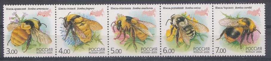  1034-1038 Россия 2005 год. Фауна. Насекомые. Шмели.