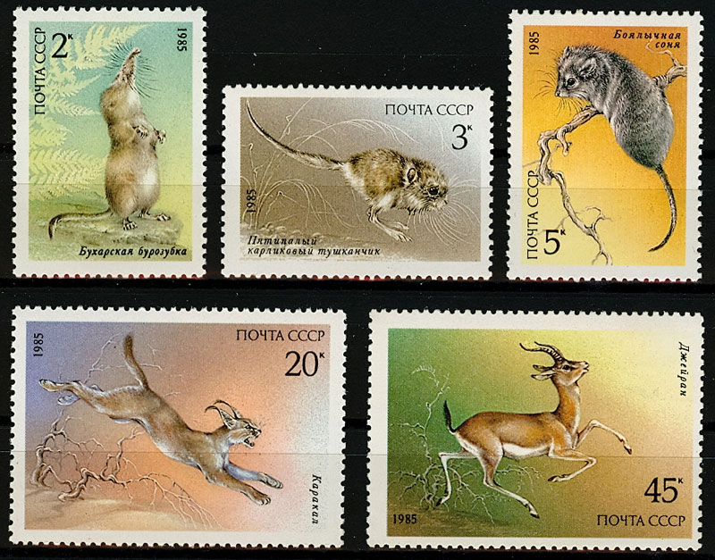 5589-5593. СССР 1985 год. Животные, занесенные в Красную книгу СССР