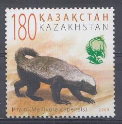 Фауна. 2009 год Казахстан. Melliora capensis.