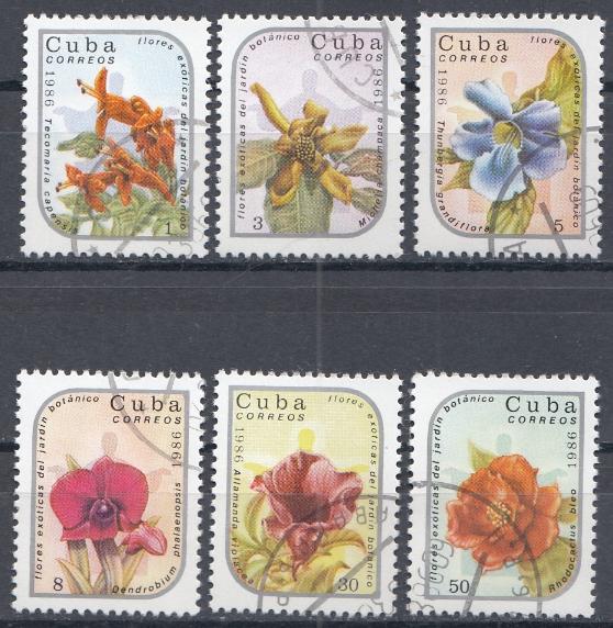 Цветы. Куба 1986 год. 