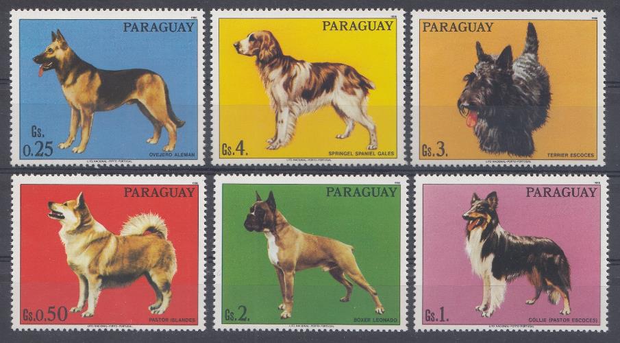 Собаки. Парагвай.