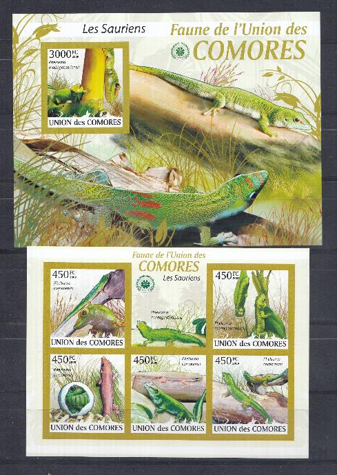 Ящерицы. 2009 год. Коморские Острова.