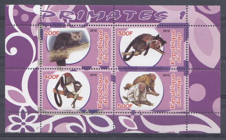 Фауна. ДР Конго 2010 год. Приматы.