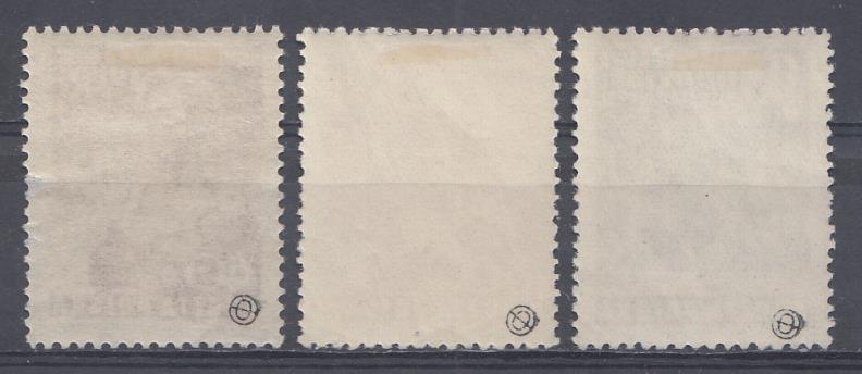 Бокс. 1953 год Польша.