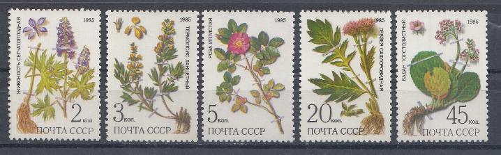 5580- 5584 СССР 1985 год. Флора. Лекарственные растения Сибири.