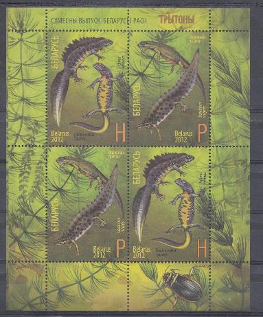 Совместный выпуск Россия - Беларусь. Фауна тритоны. Беларусь 2012 год.