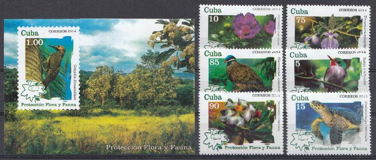 Фауна. Природа. Куба 2014 год. 