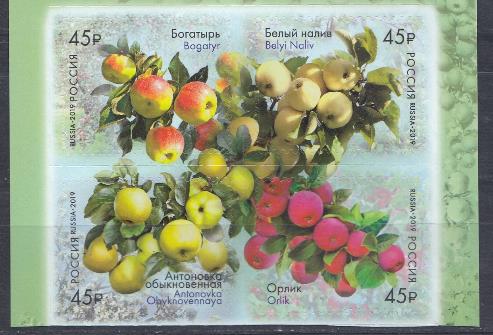2456- 2459 Россия 2019 год. Флора России. Сорта яблони.