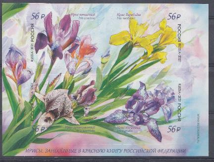  2741-2744. Флора России. Россия 2021 год. Цветы Ирисы, занесённые в красную книгу Р.Ф.