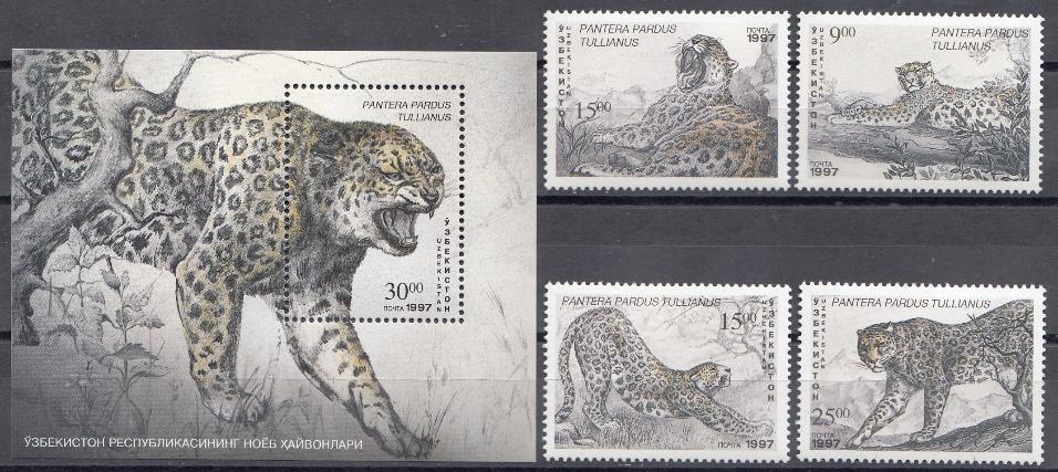 Фауна. Снежный барс. Узбекистан 1997 год.