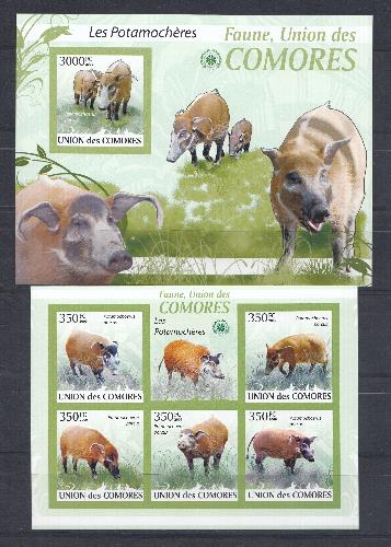 Фауна. 2009 год. Федеральная Исламская Республика Коморские Острова.