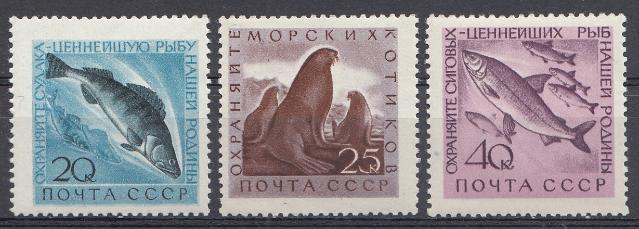 2382- 2384 СССР 1960 год. Фауна  СССР.  Охрана ценных рыб и морских животных.