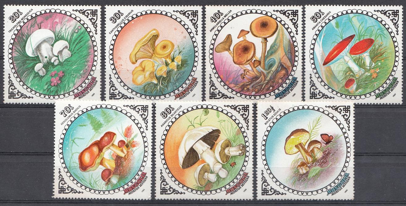 Флора. Грибы. Монголия 1985 год.