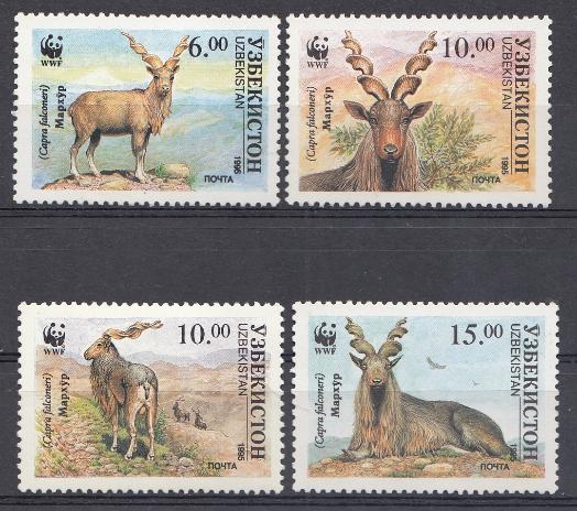 Фауна. Винторогий козёл. Узбекистан 1995 год. 