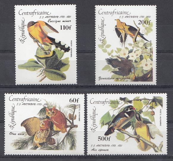 Птицы. ЦАР. Центрально Африканская Республика.