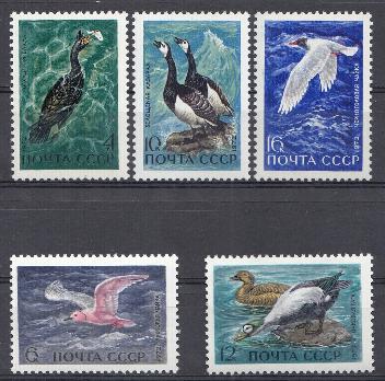 4024- 4028. СССР 1972 год. Пернатые- обитатели побережий морей и океанов. 1