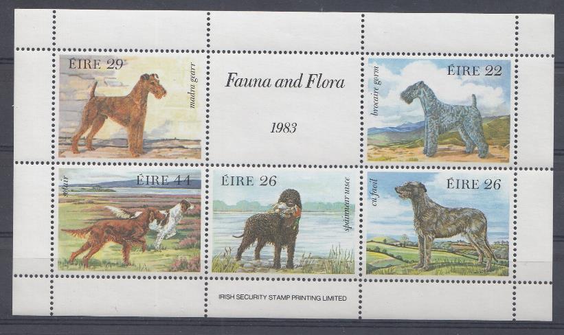 Собаки.1983 год Ирландия.