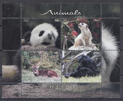 Фауна. Животные дикой природы. Малави 2012 год.