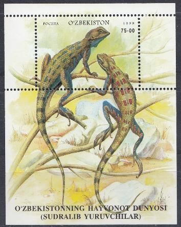Рептилии. Ящерицы. Узбекистан 1999 год.