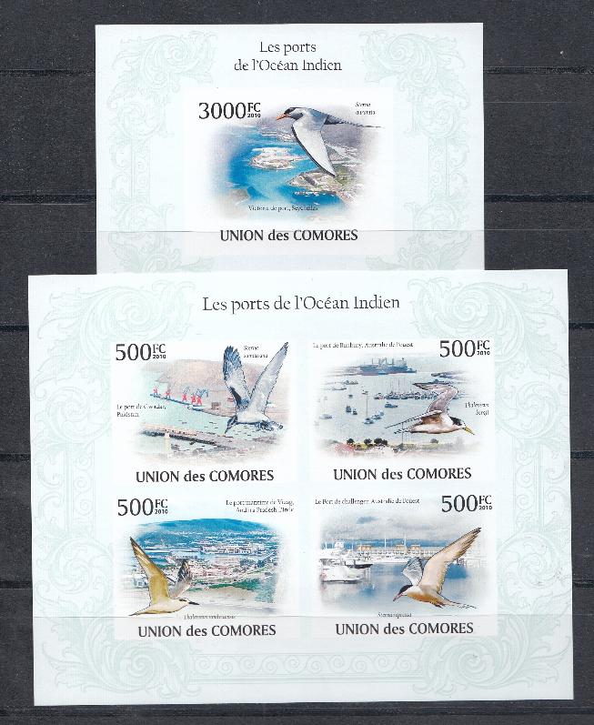 Птицы. Коморские острова 2010 год. Птицы Индийского океана.