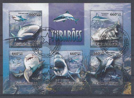 Морская фауна. Гвинея Биссау  2013 год. Морские хищники Акулы. 