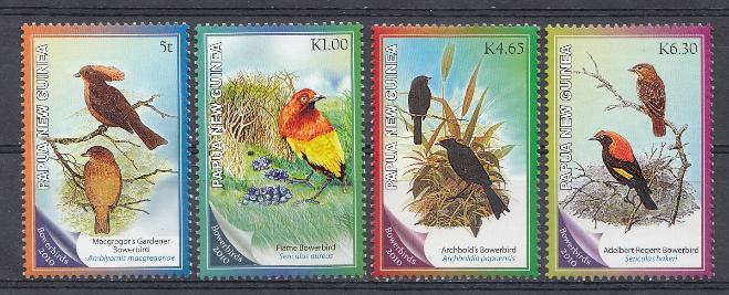 Птицы. Папуа Новая Гвинея 2010 год.