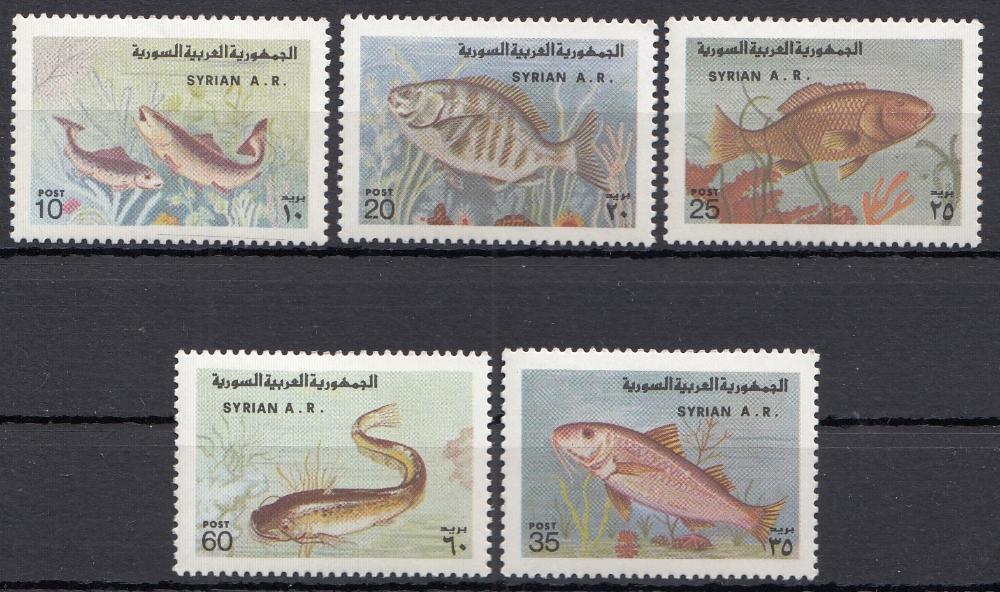 Рыбы. Морская фауна. Сирия А.Р. 1978 год.