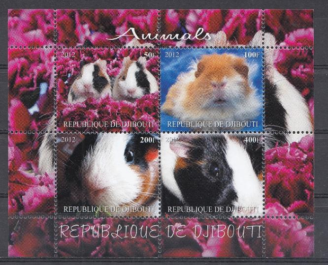 Фауна. Джибути 2012 год. Хомячки.