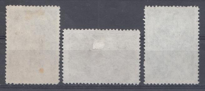 1302 - 1304 СССР 1949 год. День радио. Портрет А.С.Попова.