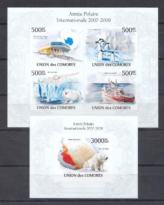 Фауна.Коморские острова 2010 год. Животный мир Антарктиды.