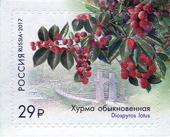 2208-2211. Флора России. К 125-летию Сочинского парка «Дендрарий»