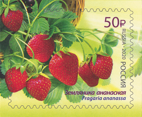2585-2588. Россия  2020 год. Флора России. Ягоды 