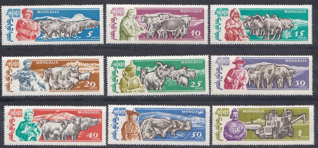 Сельское хозяйство Монголии. Монголия 1961 год.