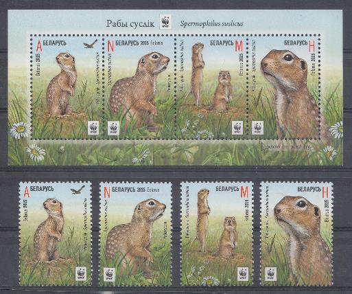 Фауна. Беларусь 2015 год. Суслики.