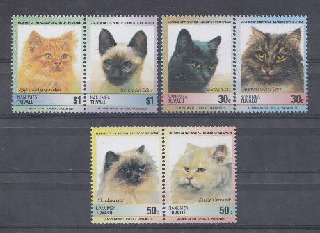 Кошки. Тувалу.