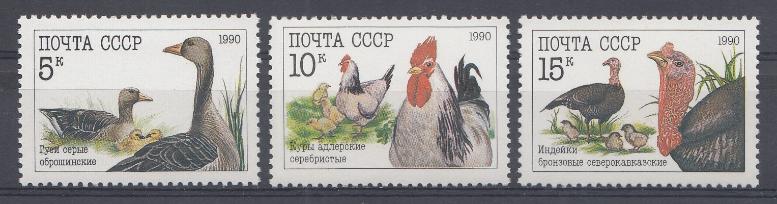 6158- 6160 СССР 1990 год. Фауна. Домашние птицы. Гуси. Куры. Индейки.
