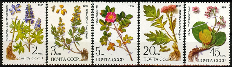 5580-5584. СССР 1985 год. Лекарственные растения Сибири