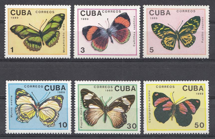 Бабочки . Куба 1989 год.