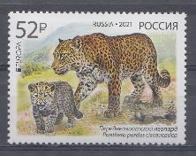  2722. Россия 2021 год. Переднеазиатский леопард. Выпуск по программе "Европа". Национальная дикая природа. 