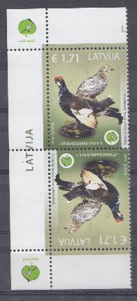 Фауна тетерев. 2016 год. Латвия.