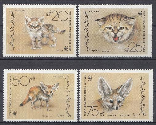 Кошки и лисы. Йемен 1989 год.