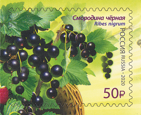 2585-2588. Россия  2020 год. Флора России. Ягоды 