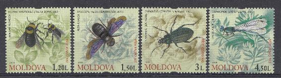 Насекомые. Молдова 2009 год.