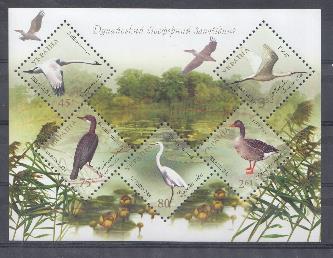 Дикие птицы. Дунайского биосферного Заповедника. 2004 год. Украина.