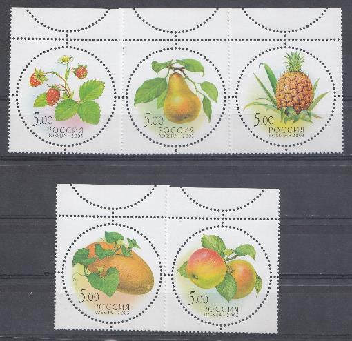  881-885. Россия 2003 год. Дары природы. Ароматизированные.