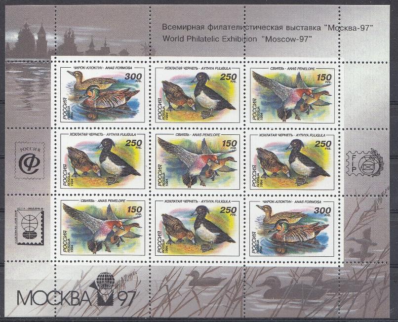 М/Л (170-172) Россия 1994 год. Утки.