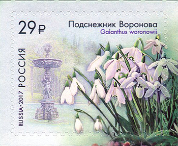 2208-2211. Флора России. К 125-летию Сочинского парка «Дендрарий»