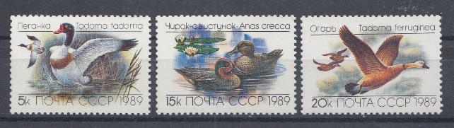 6017- 6019 СССР 1989 год. Фауна. Утки.